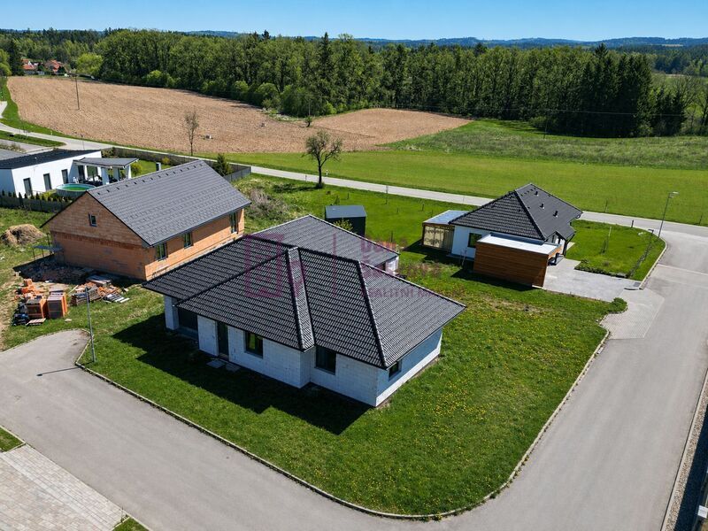 Prodej, rozestavěný rodinný dům, 805 m2, Horní Skrýchov